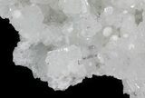 Apophyllite Crystals and Gyrolite on Prehnite - India #44367-1